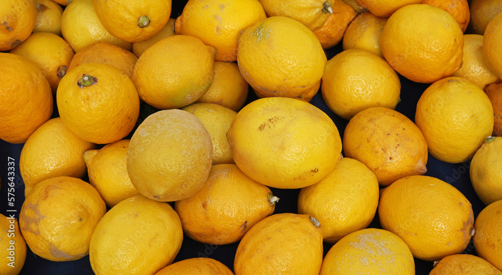 fresh and organic lemons on the market stall
