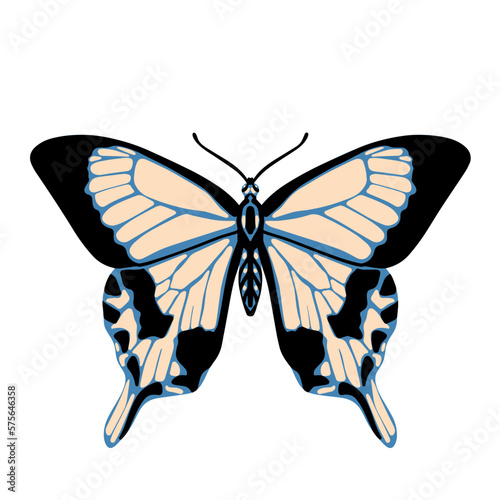 Beautiful butterfly. Vector hand drawn illustration. Graphic element for posters, print, fashion design, wrapping paper