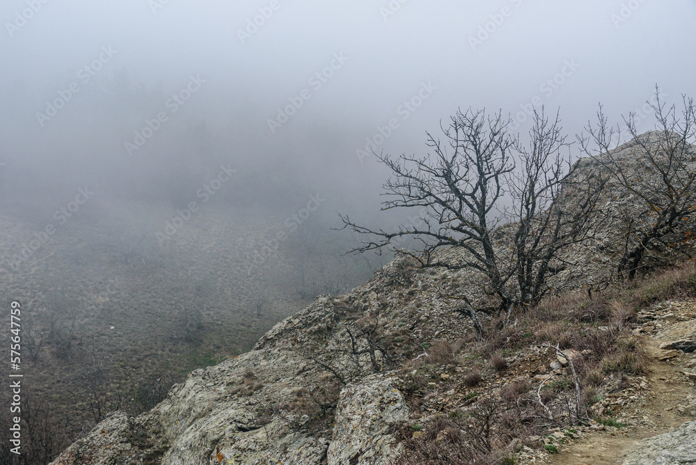 Landscape of Karadag Reserve in spring. View of trees on mountain in fog and clouds. Crimea