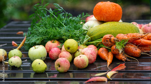 Fototapeta Naklejka Na Ścianę i Meble -  Fresh farm vegetables and fruits on wet woody background outdoor in garden, apples, carrots, zucchini, pumpkin, selective focus.