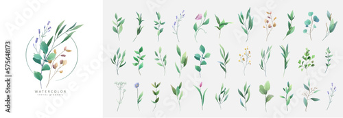 Set of luxury green leaves and flowers elements in watercolor style. Aquarelle trendy greenery branches and blooming. Vector isolated on white background for Invitation, greeting