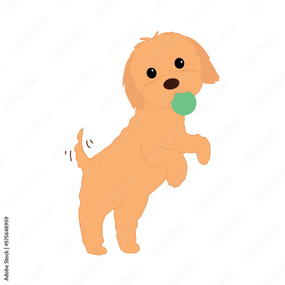 Obraz premium Brown puppy playing with a ball. Maltipoo puppy jumping with a toy vector illustration.