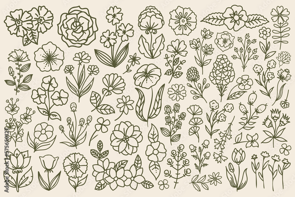 Line art drawn floral set. Hand drawn, doodle style vector flowers with thin line. Outline decorative floral bundle.