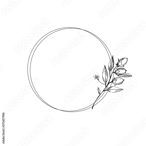 Wreath frame with cocoa branch. A bunch of cocoa beans, whole fruits. Harvest cocoa fruits, symbol. Branches drawn by hand. For label, logo, emblem, symbol. Design element. Isolated background