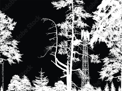 pylon between white trees on black