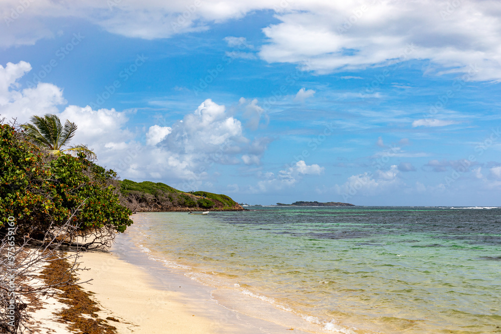 Sainte-Anne, Martinique, FWI - Anse Michel beach Sainte-Anne, Martinique, FWI - Anse Michel beach