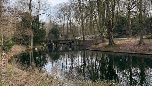 Reflet à l'un des étangs entouré de végétation luxuriante en hiver au parc Josaphat à Schaerbeek 