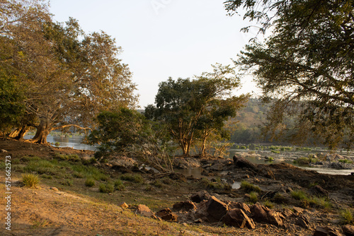 autumn in the forest