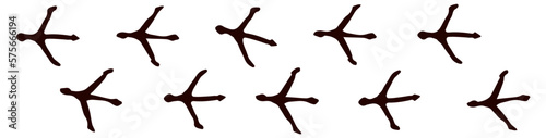 Traces of chicken. Vector drawing