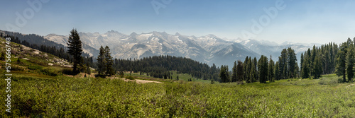Panorama of Alta Meadow and the Sierra Mountains