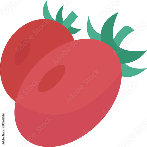 tomato  icon