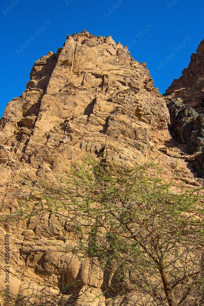 Canyon with limestone and sandstone rocks, Nabq, Sharm El Sheikh, Sinai peninsula, Egypt, Africa