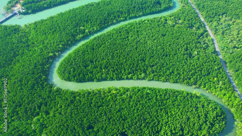 Discover the breathtaking beauty of Thailand's mangrove forest and ...