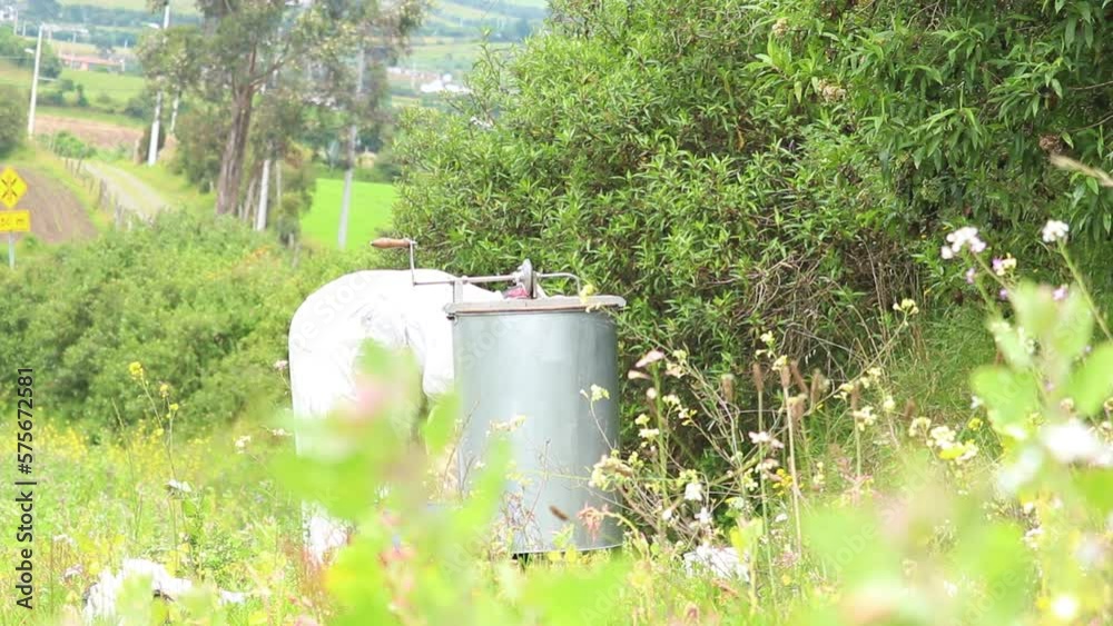 mujer apicultora acomodando la maquina centrifugadora para extraer la miel en el campo
