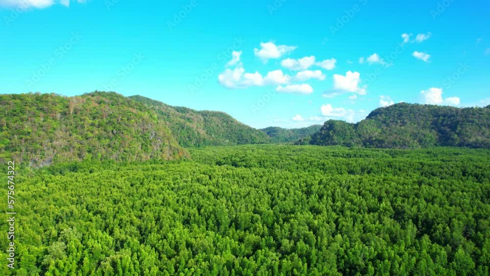 Get ready to be mesmerized by the stunning aerial footage of a lush mangrove forest, with a breathtaking background of a blue sky and mountains. Thailand. Travel and nature concept. 4K Drone
Get ready to be mesmerized by the stunning aerial footage of a lush mangrove forest, with a breathtaking background of a blue sky and mountains. Thailand. Travel and nature concept. 4K Drone