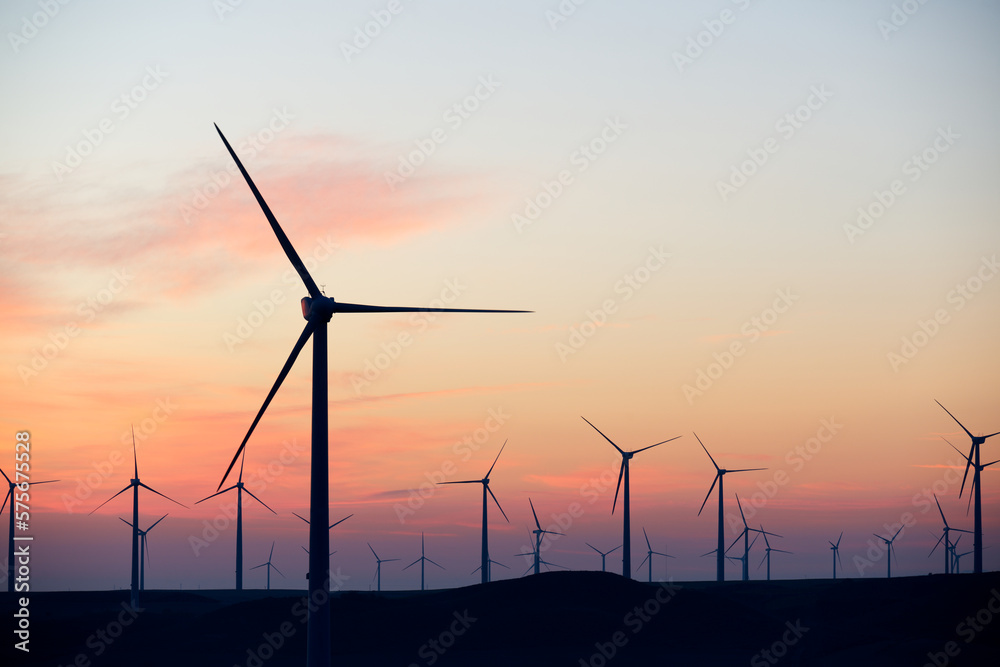 Wind turbine generators for renewable electricity production