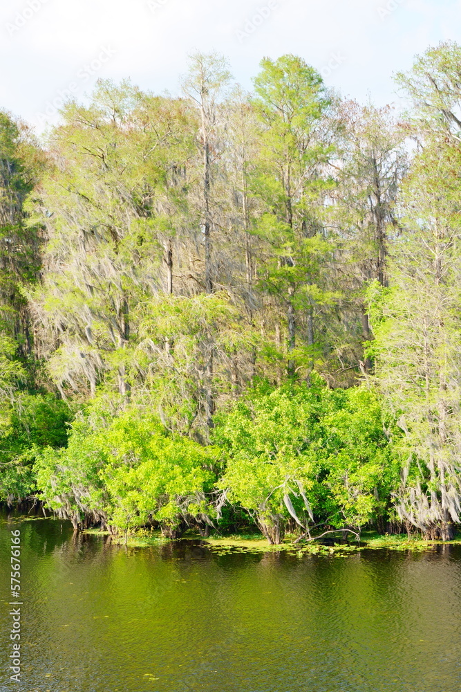 The Spring landscape of Hillsborough river and Lettuce park at Tampa, Florida The Spring landscape of Hillsborough river and Lettuce park at Tampa, Florida