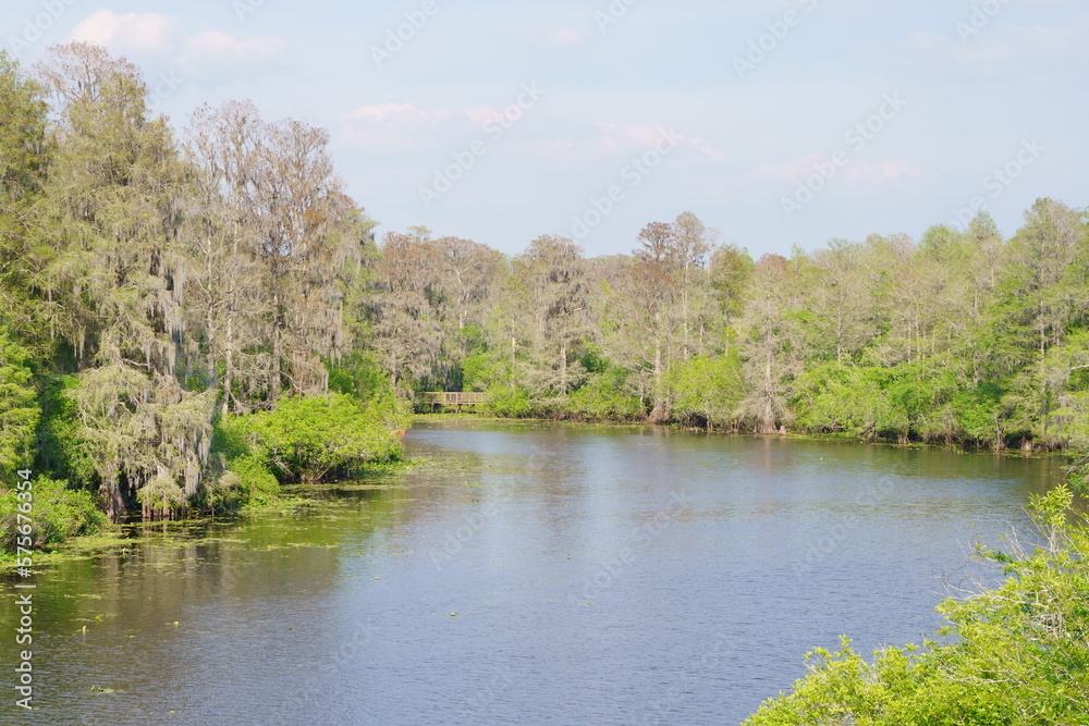 The Spring landscape of Hillsborough river and Lettuce park at Tampa, Florida