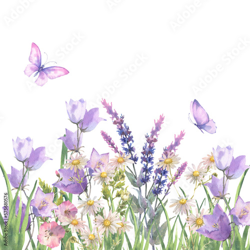 Canvas Print Watercolor composition, border with Herbs and wild flowers, leaves, butterflies