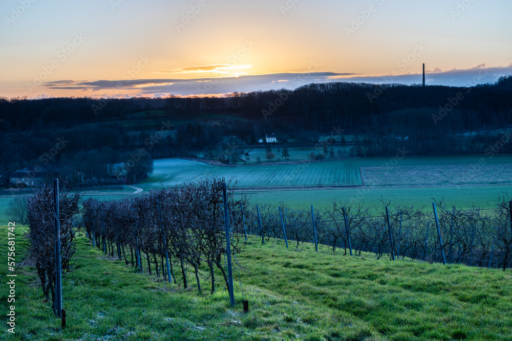 Winter view during sunrise of a famous wine valley in Maastricht with a beautiful cloudscape and view of the rolling hill landscape with vineyards of the oldest winery the Apostelhoeve in the South of