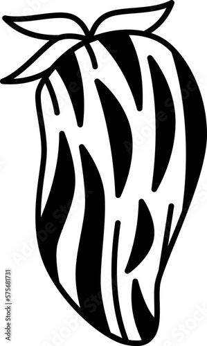 tomato  icon