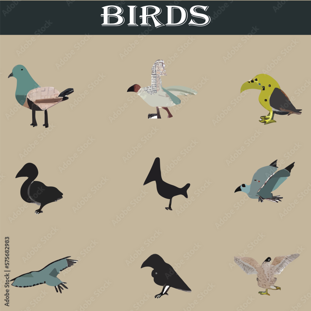 Obraz premium Set of different birds vector file