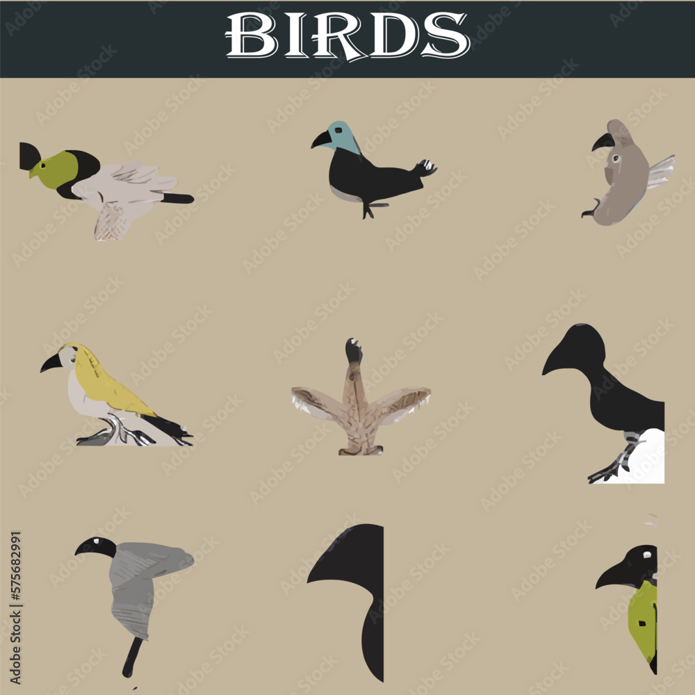 Set of different birds vector file Set of different birds vector file