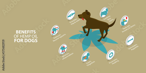 3D Isometric Flat Vector Conceptual Illustration of Benefits Of Hemp Oil For Dogs, CDB for Pets
