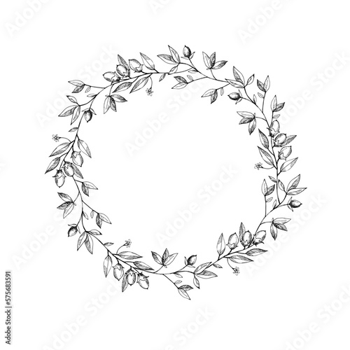 Wreath frame with cocoa branch. Floral background. A bunch of cocoa beans, Harvest cocoa fruits, symbol. The branches are drawn by hand. For label, logo, emblem, postcard. Design element.