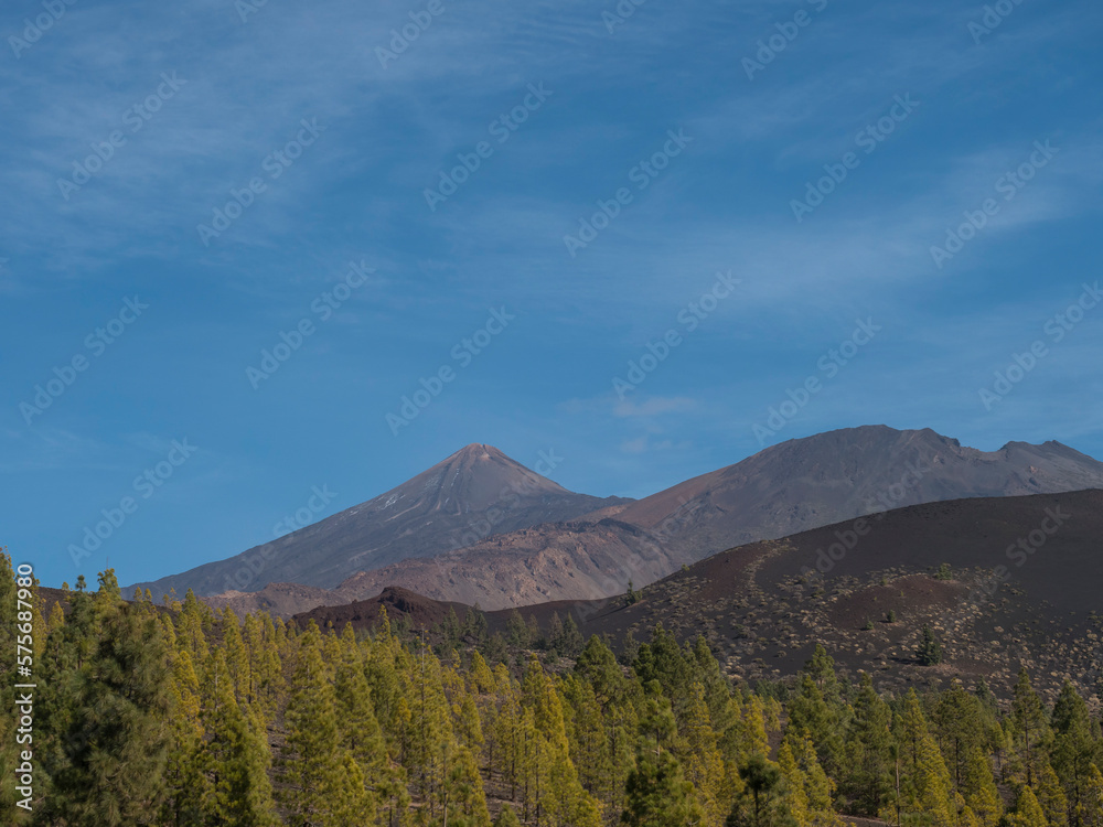 Mountains and lava fields partly covered by pine tree forest with view of volcano Pico del Teide. Volcanic landscape at El Teide National Park, Tenerife, Canary Islands, Spain. Blue sky background