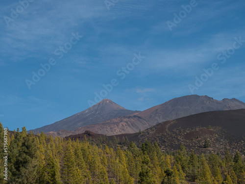 Mountains and lava fields partly covered by pine tree forest with view of volcano Pico del Teide. Volcanic landscape at El Teide National Park, Tenerife, Canary Islands, Spain. Blue sky background