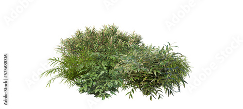 A small garden with flowers and shrubs. On a transparent background