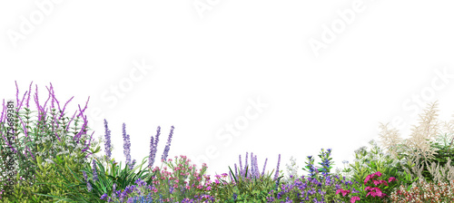 A small garden with flowers and shrubs. On a transparent background