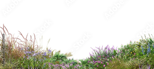 A small garden with flowers and shrubs. On a transparent background