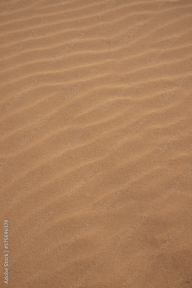 sand texture background sand texture background