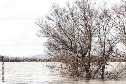 flood on the Danube river in spring.