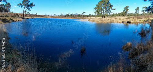 View on Kalmthout Heath landscape with water pool