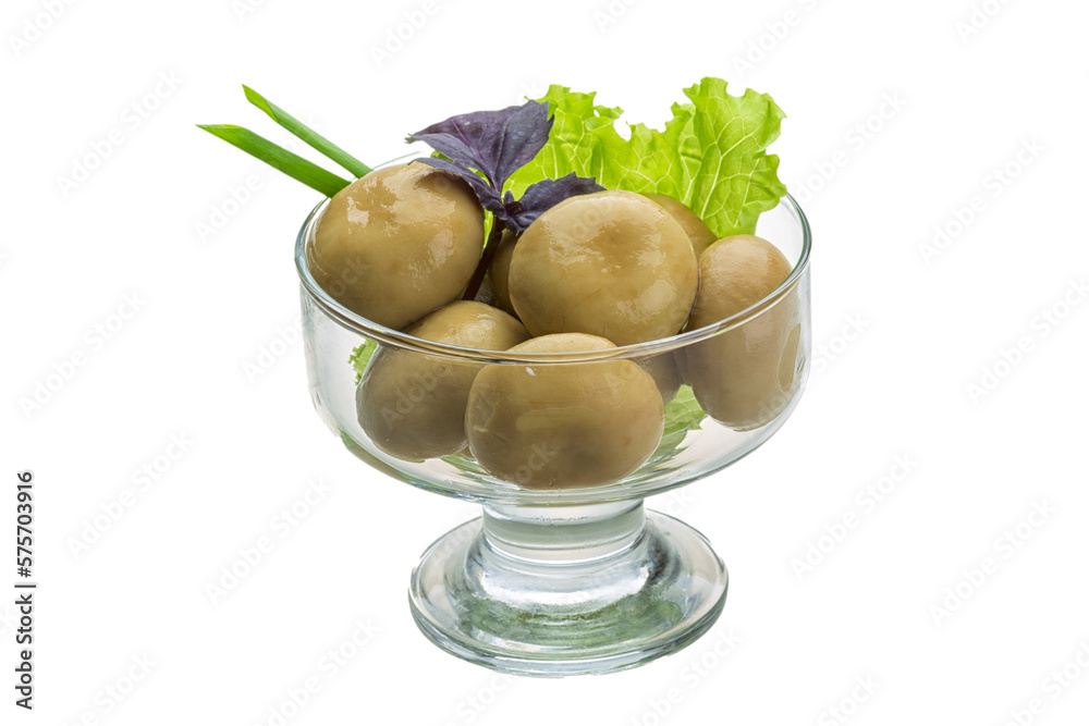 Ripe fresh Champignon Ripe fresh Champignon
