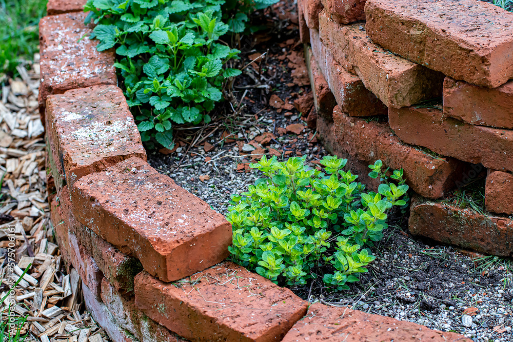Brick circle for herbal garden Brick circle for herbal garden