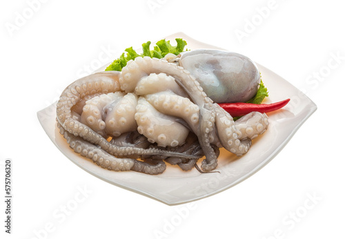 Raw octopus