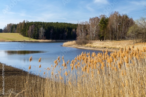 autumn view of pond and autumnal forest and grass