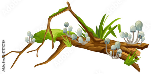 Mushrooms, moss on logs. Cartoon stump in toadstools in swamp forest. Poisonous shrooms, broken tree in tropical damp jungle. Isolated vector element on white background for computer game.