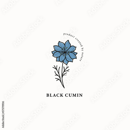 Line art black cumin or nigella sativa drawing