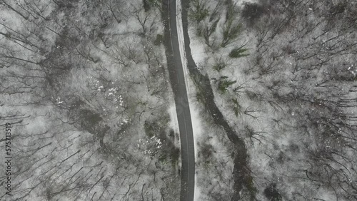 Snowy forest road