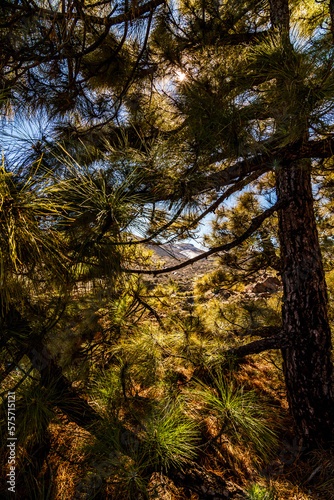 Paisaje en el Parque Nacional del Teide. © CarlosHerreros