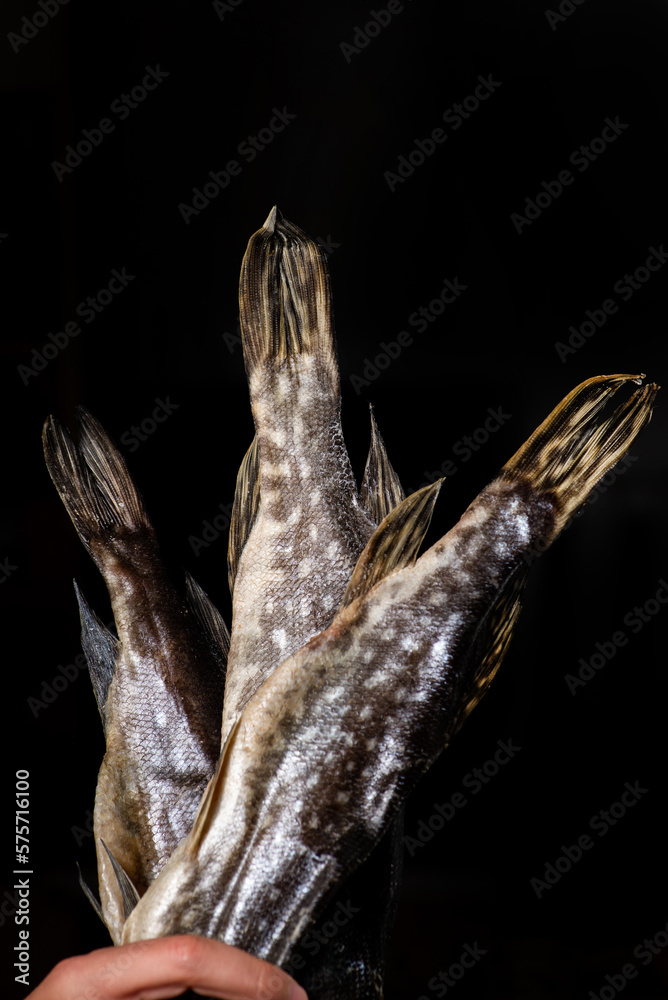 Salted dried pike. Fish appetizer for beer Salted dried pike. Fish appetizer for beer