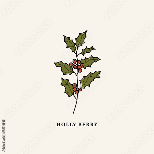 Line art holly berry drawing