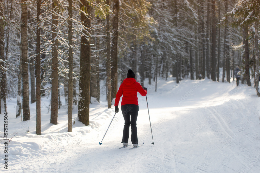 A woman goes cross-country skiing in winter through the forest on a special track. A woman goes cross-country skiing in winter through the forest on a special track.