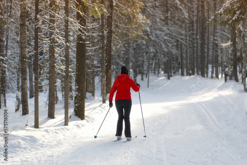 A woman goes cross-country skiing in winter through the forest on a special track.