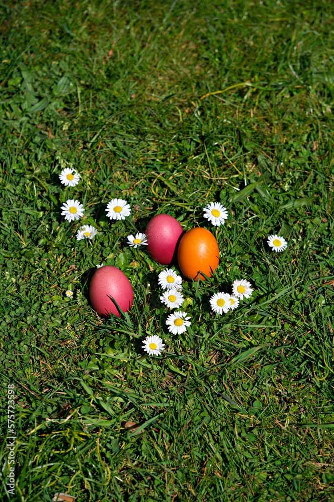 Ostereier Gruppe Gänseblümchen 03 Ostereier Gruppe Gänseblümchen 03